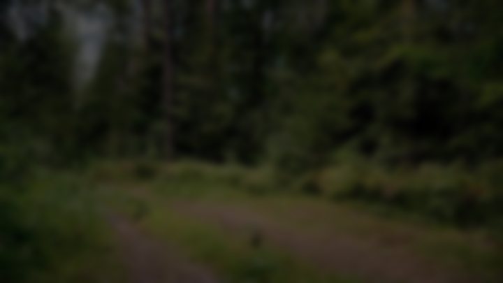 LOVINA’S NUDE WALK IN THE FOREST — WILD, FREE, NATURAL   — Lovina Lady